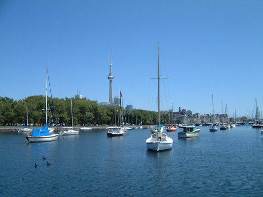 Copyright � 2006 by Macroknow Inc. All Rights Reserved.